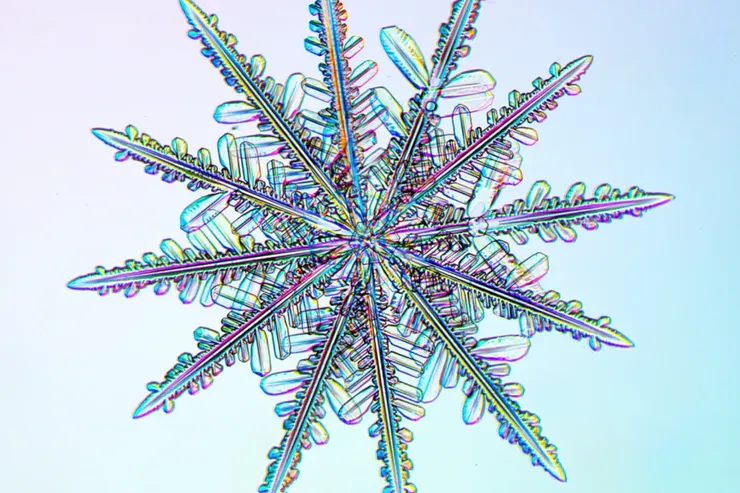 圖片來源：COURTESY KENNETH LIBBRECHT 。雪花在下降途中，會因風、溫度和濕度的影響而持續改變。每片雪花的旅程都不同，所以世界上沒有兩片一模一樣的雪花！