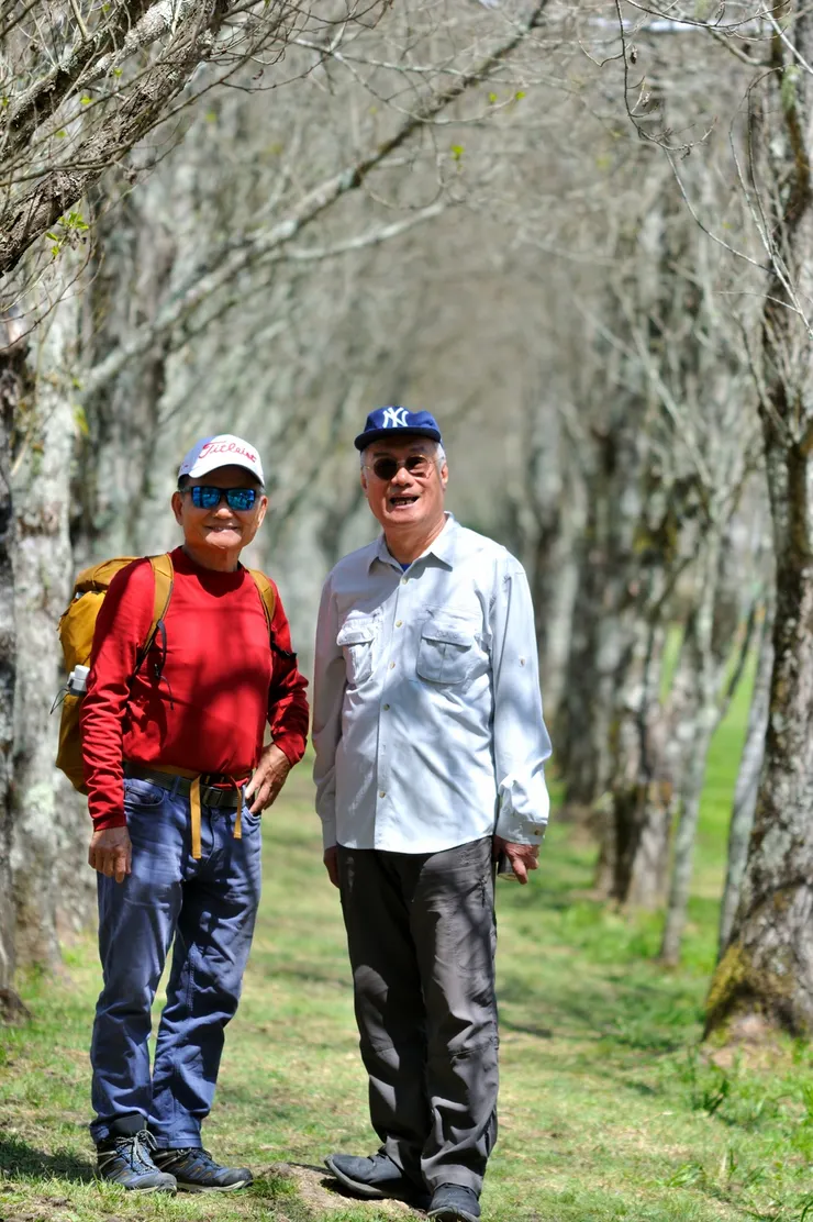 【身後世界枯寂幽邃白楊步道】