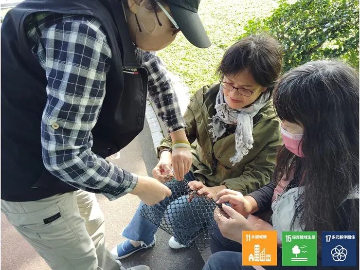 用龜殼網手作著幼苗的防護網,避免誤踩、誤割