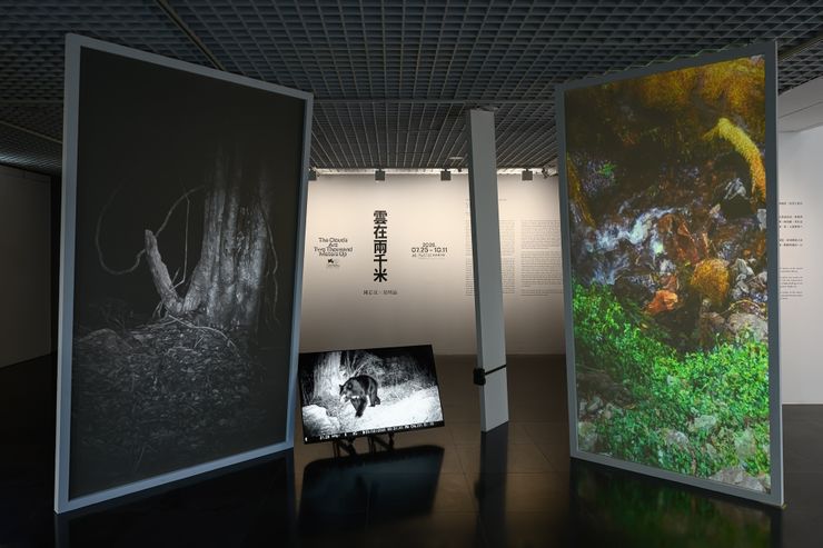 《雲在兩千米》展覽。／影像提供：北師美術館（攝影：王世邦 Anpis Wang）