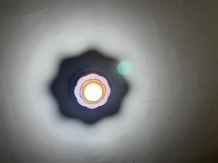 陰影是朵花的燈