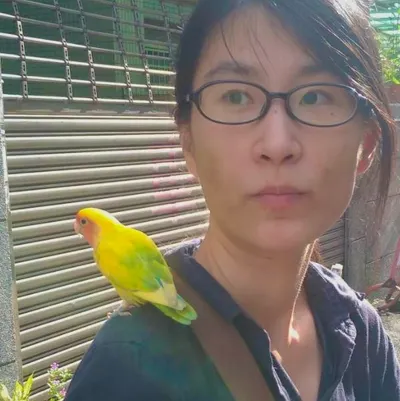 《布蘭達的有聲日記》