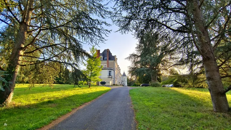【腹地廣袤，且碧草如茵、巨樹成蔭，我們可自由漫步其間。】