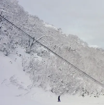 愛麗絲夢遊仙境