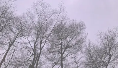 365天的思考空間