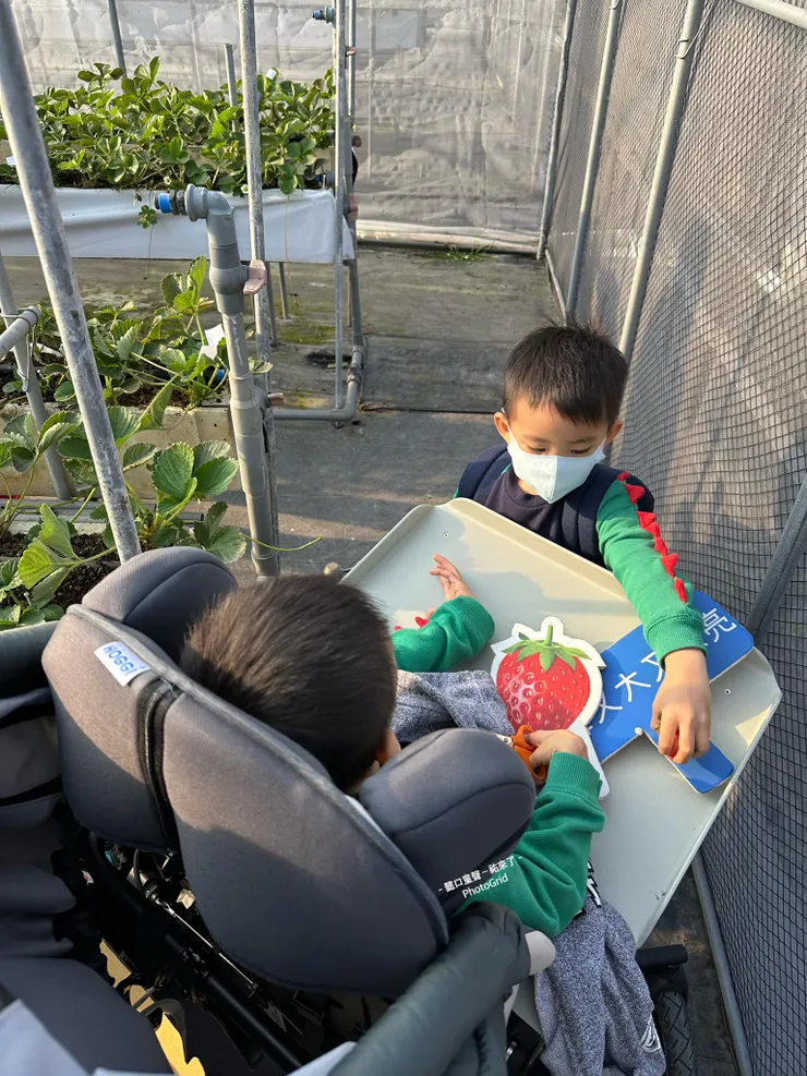 「哥哥，這顆熟了屁股紅紅粉粉的可以採了！」  農家介紹並示範完，我家出現偽草莓達人！&nbsp;#採果是學習也是生活即教育