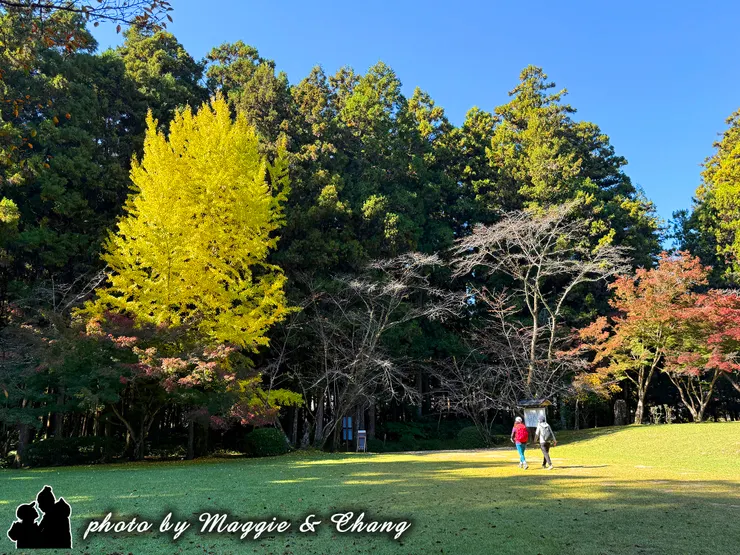 現在的大齋原雖然沒有任何建築物，但只要一走進來這神聖之地，就可以感受到滿滿的能量
