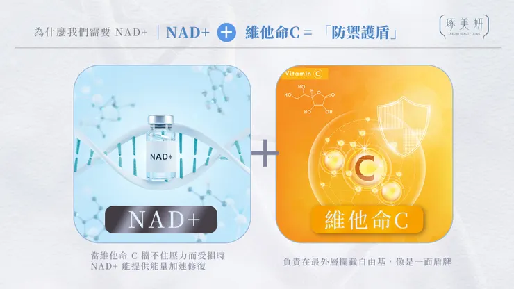 1+1>2的早C晚A進階公式!為什麼你的抗老清單裡,少不了 NAD+ 這個「最強後援」?