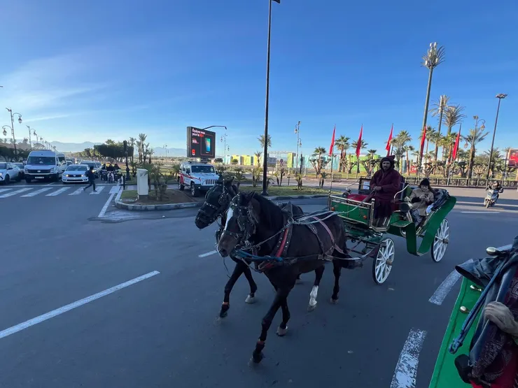 馬車跟汽車都要遵守交通號誌