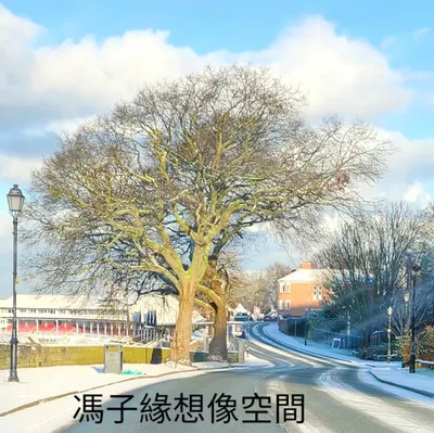 馮子緣的想像空間