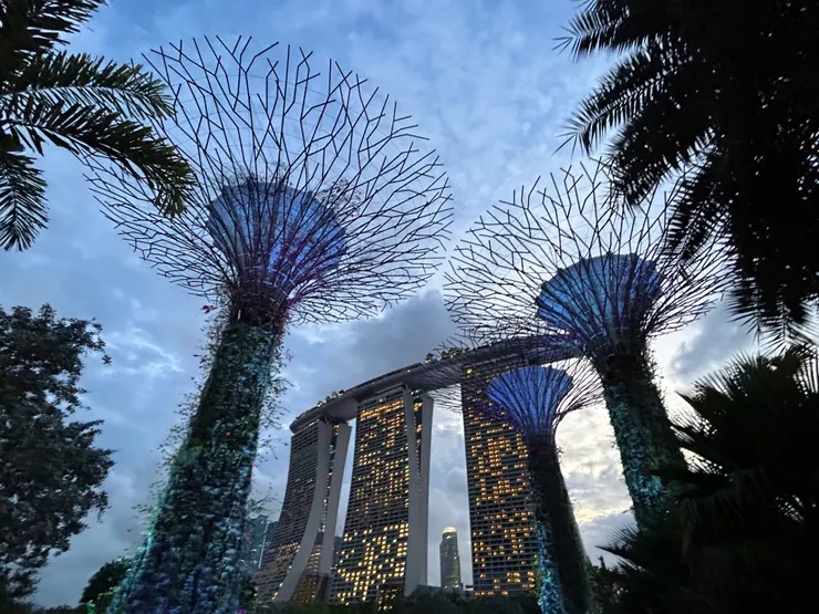 超級樹 & 金沙酒店