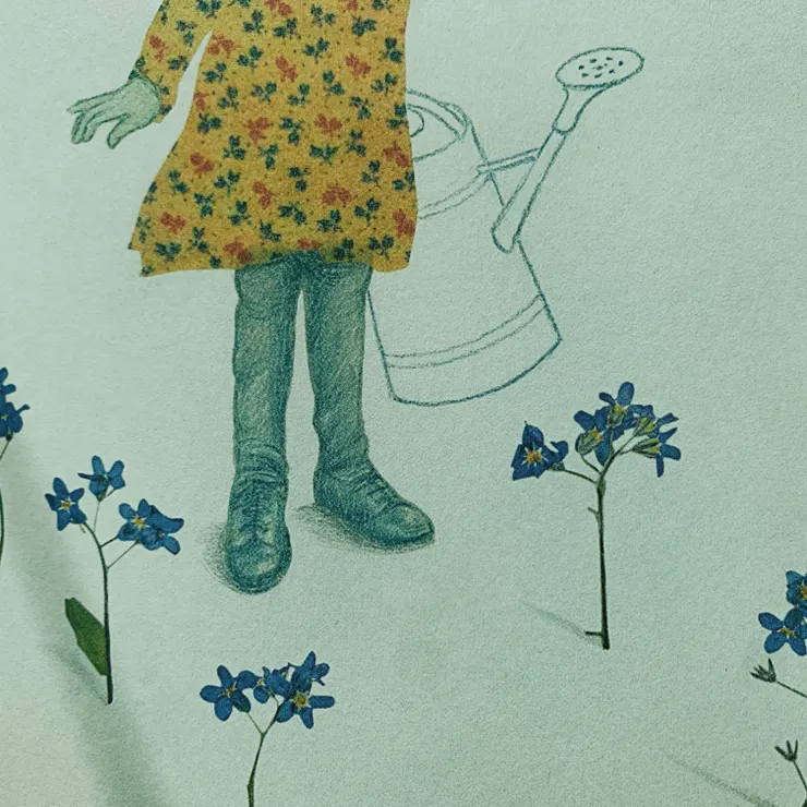 布魯卡照顧的勿忘我花 ︳圖片來源《布魯卡日記》