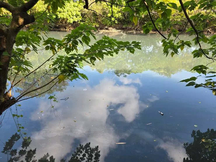 即使平靜的水面漂浮著垃圾,但仍能照映出人世間的藍天白雲。