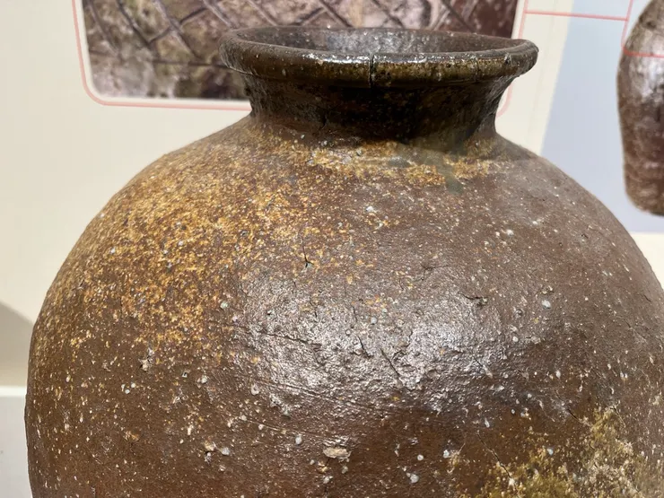 蟹之目 疑似是表面這些白白的結晶