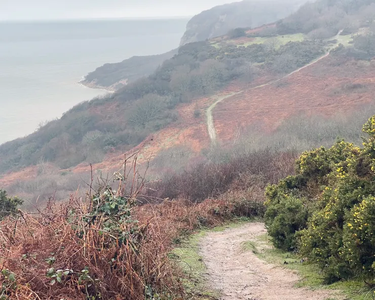 專注在行進的路上,不忘回頭看一下走過的痕跡及壯觀的海岸線,如果撇開狼狽的我試著在泥濘道路上平衡自己,不然冬天漫步在綿綿細雨中,還是別有一番味道。