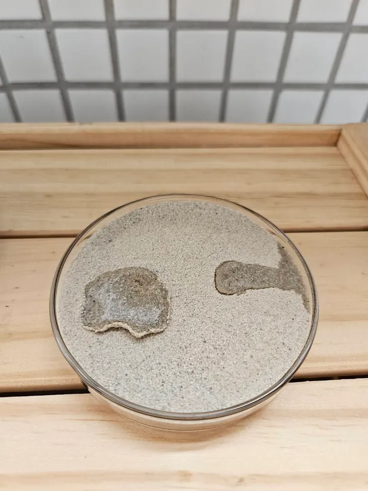 gopetzi 沙漠砂的凝結狀態