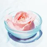 妃凌+苟維斯的沙龍