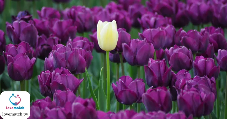 你很重要，但這個世界不是圍繞著你