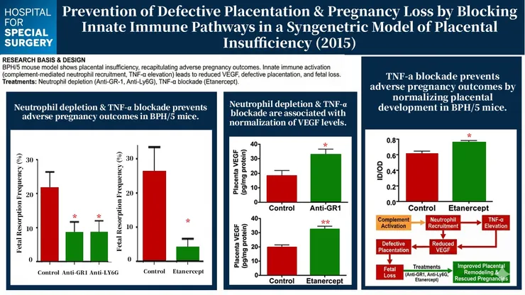 Gelber et al., J Immunol., 2015