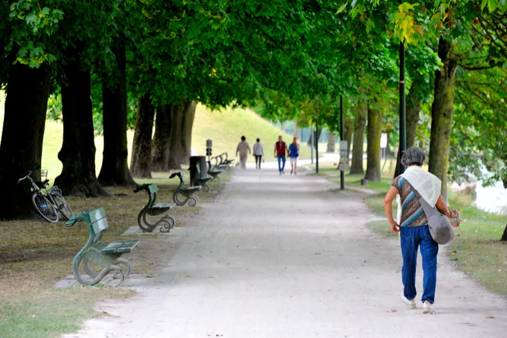 【出民宿直向東尋訪十字門與風車 小丘草地林蔭道左望古城右運河】