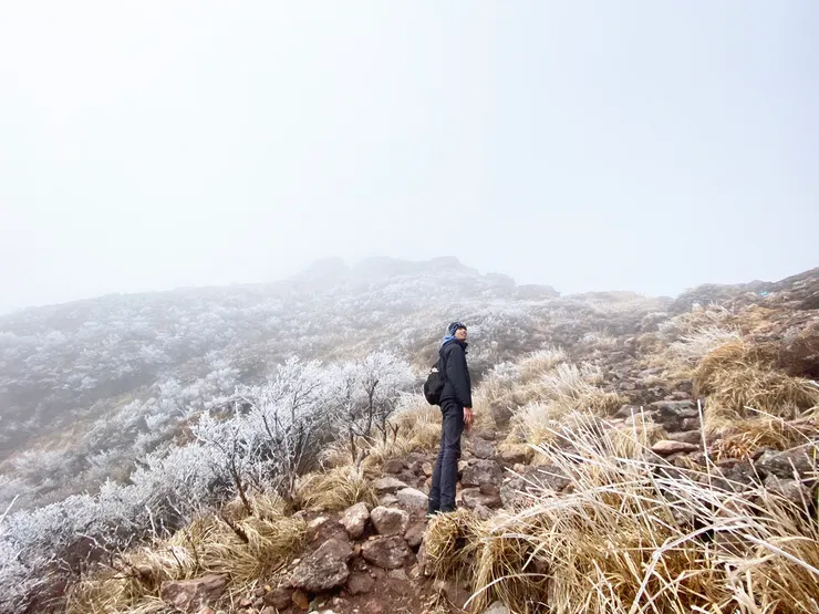 日本大分-由布岳 || 遼闊的銀色世界