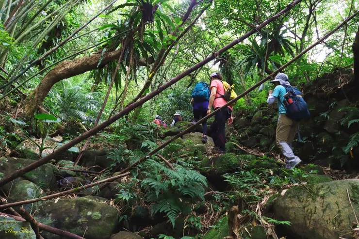 一路沿溪而行,清涼舒爽