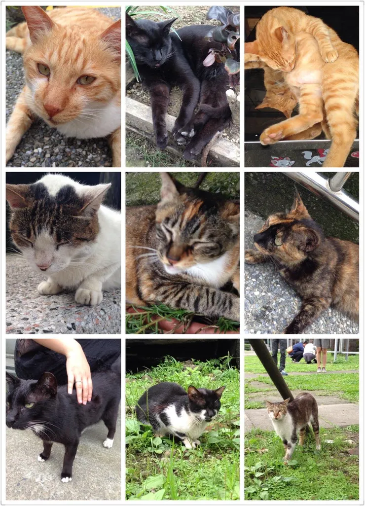 她還留有14年的照片