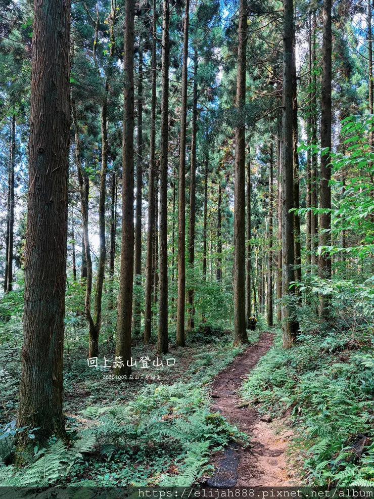 【2025初秋.岡山県真庭市】蒜山三座縱走/下蒜山(海拔11