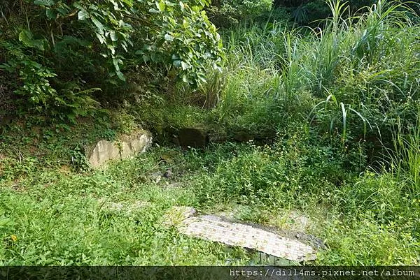 （草叢中的廁所地板磁磚遺跡）
