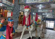馬將軍（圖片截圖於網路）