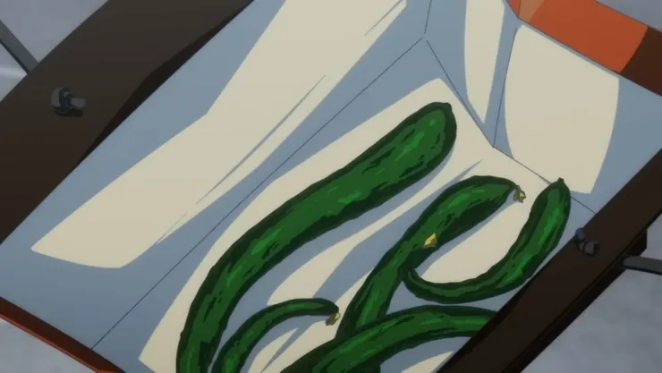 爽世種的小黃瓜