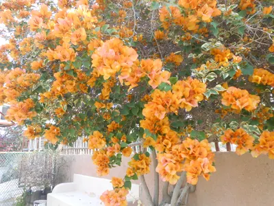 自介與沙龍快速導覽