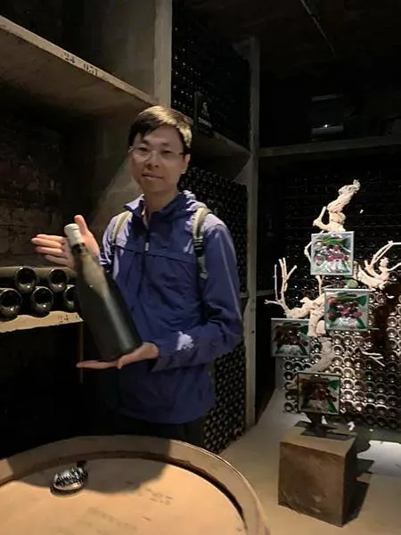 法國勃艮第酒鄉之行