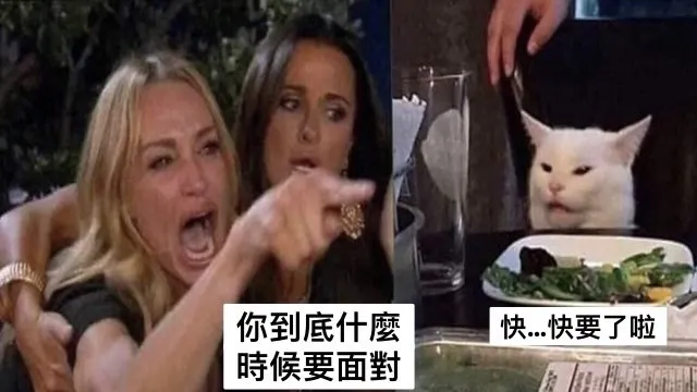 這不就來了嗎