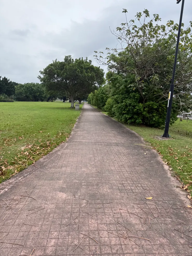 2026/03/28 運動路線