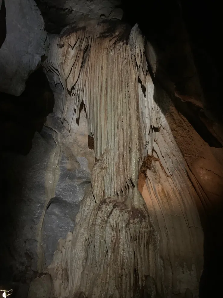 這造型讓我想起神鬼奇航裡面的 「章魚人」，難道導演也來過！