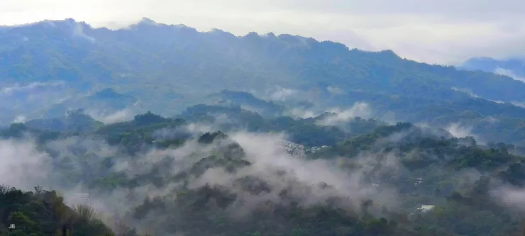 【新綠參差雨乍停遠眺連峰生雲海】