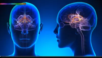 浮生漫錄｜網上耳鳴痊癒見證+治療音樂的體驗