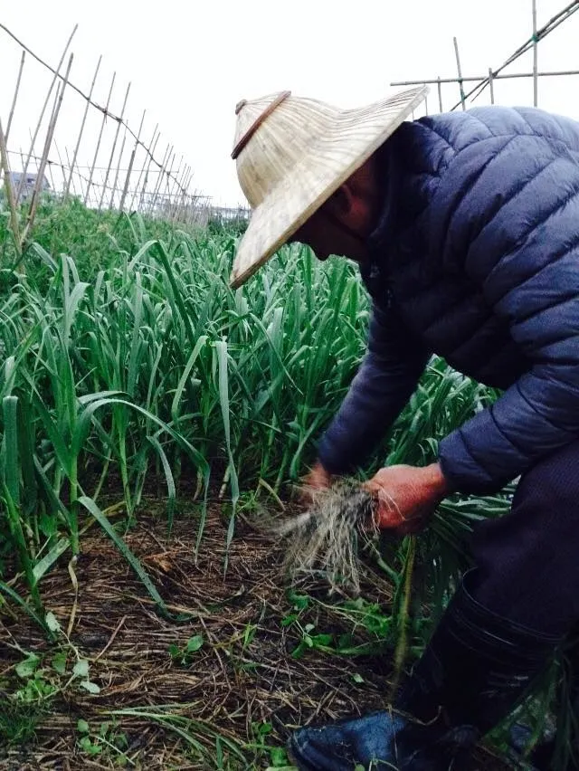 江淑芬&全明遠的沙龍