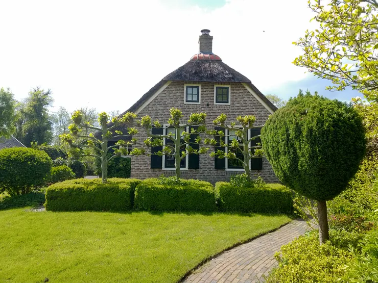 這棟房子前的樹都很有型