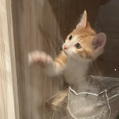 ✽梓歆✽的沙龍