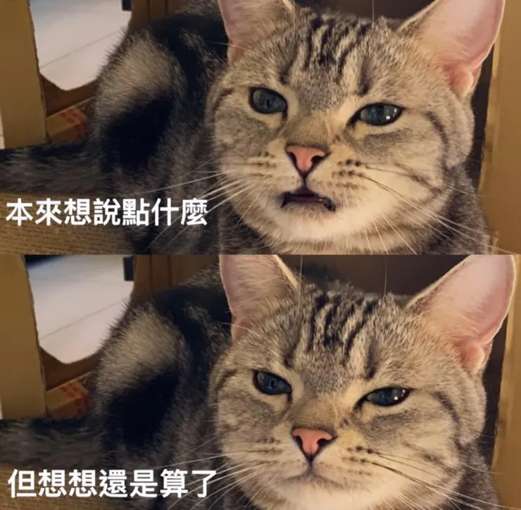 知道什麼能說，什麼不該碰，就是分際