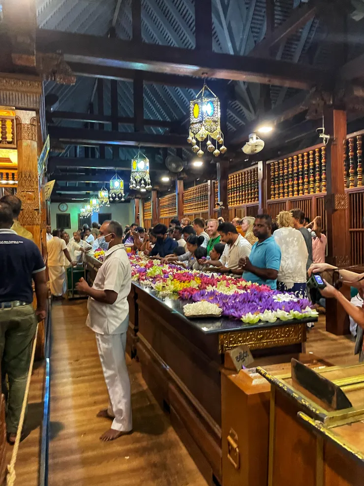 信徒帶來的藍色睡蓮，象徵純潔