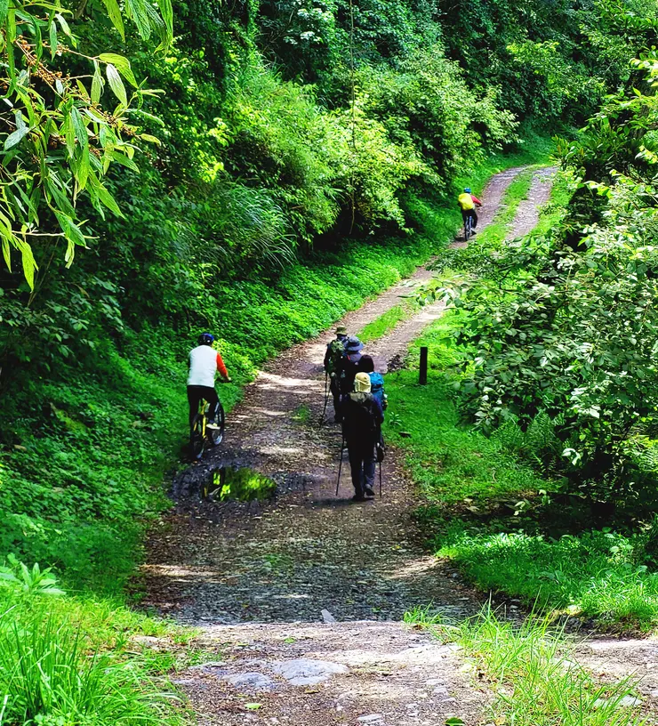 大鹿林道東線單車騎乘
