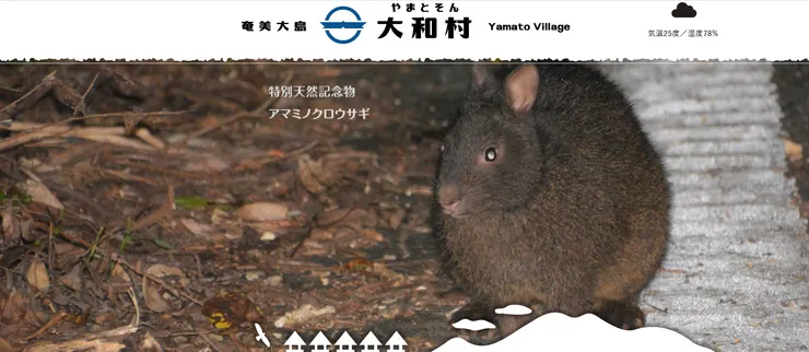 圖片來源：大和村官網