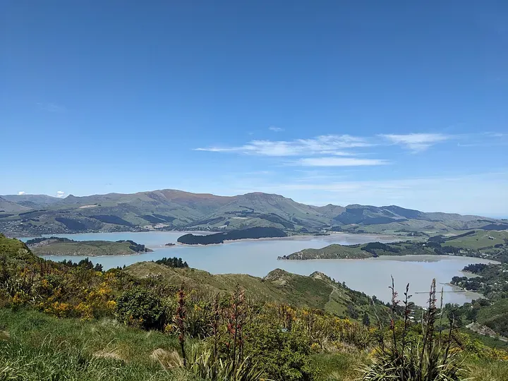 Bowenvale Carpark _ View point