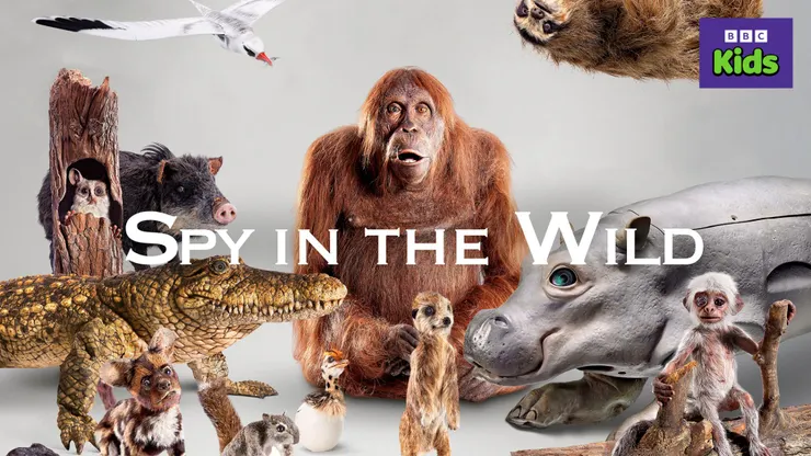 動物秘密一籮筐