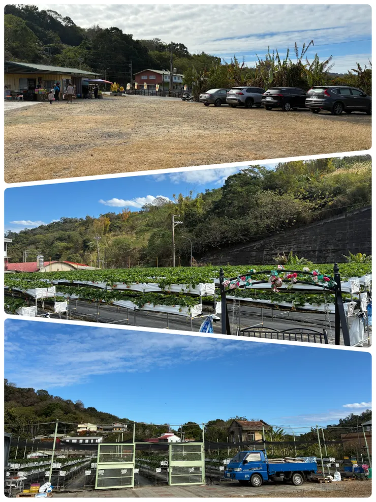 來到路旁這間隱密的名揚草莓園，才發現園區內很大耶！