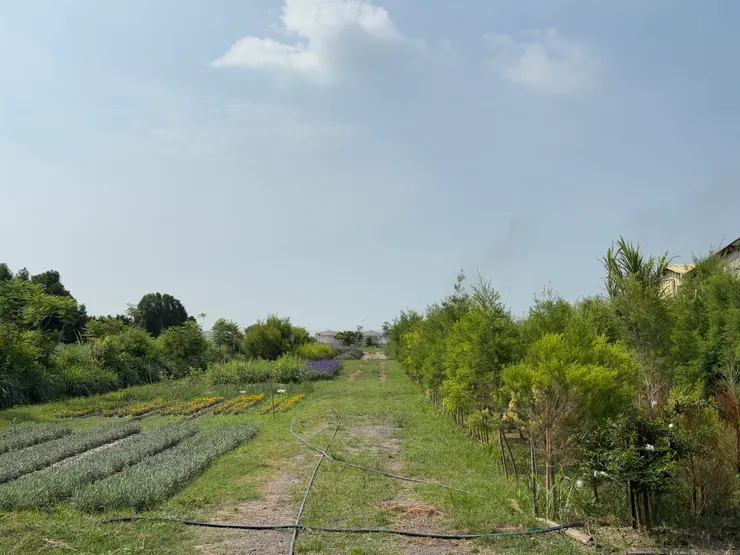 雲林虎尾示範場地