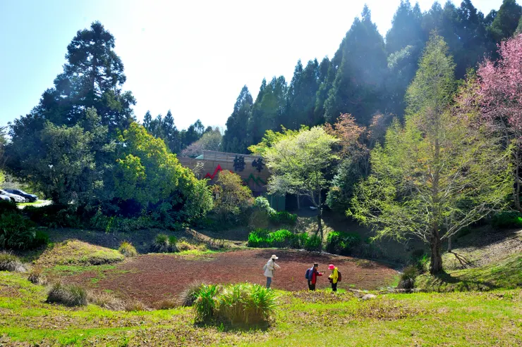 【進入溫帶花卉區前經過的生態池,水面應是被藻類覆蓋。】